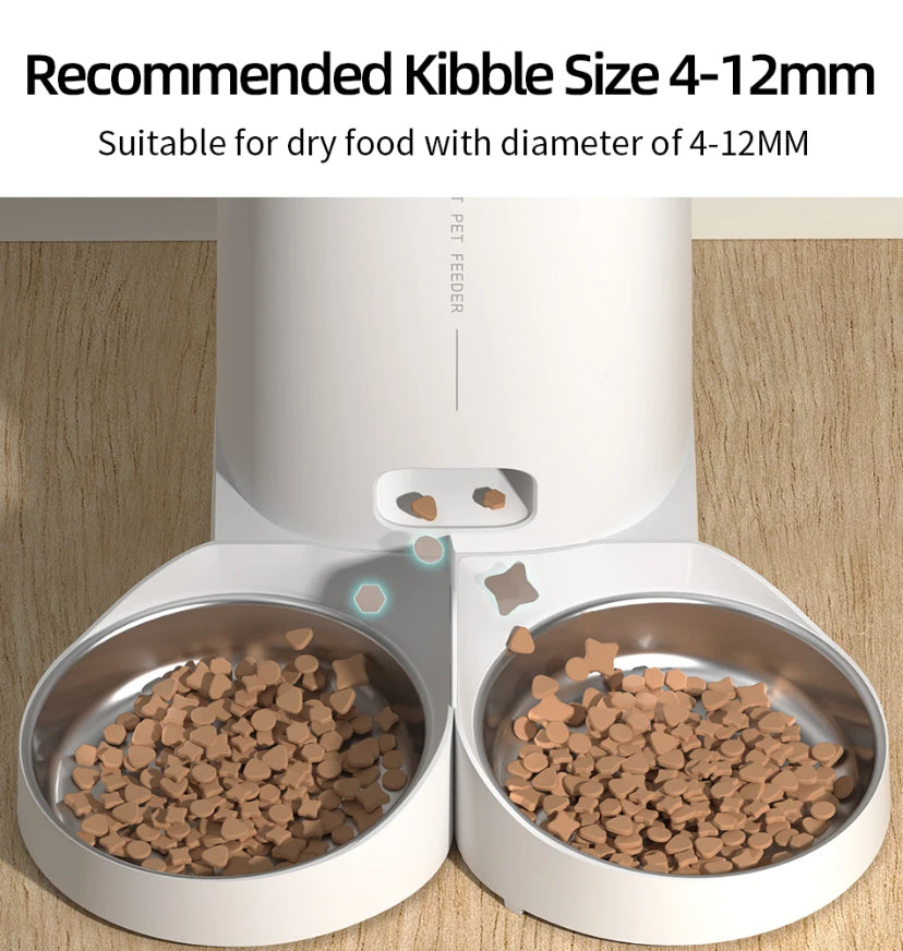 Automatic Feeder For Cats Dogs