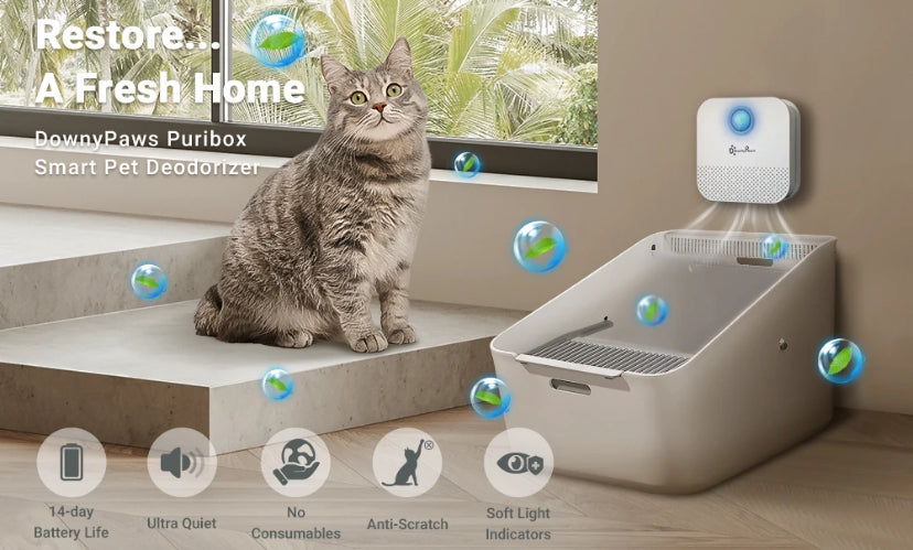 Rechargeable Air Cleaner Pets Deodorization and More
