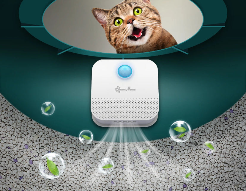 Rechargeable Air Cleaner Pets Deodorization and More