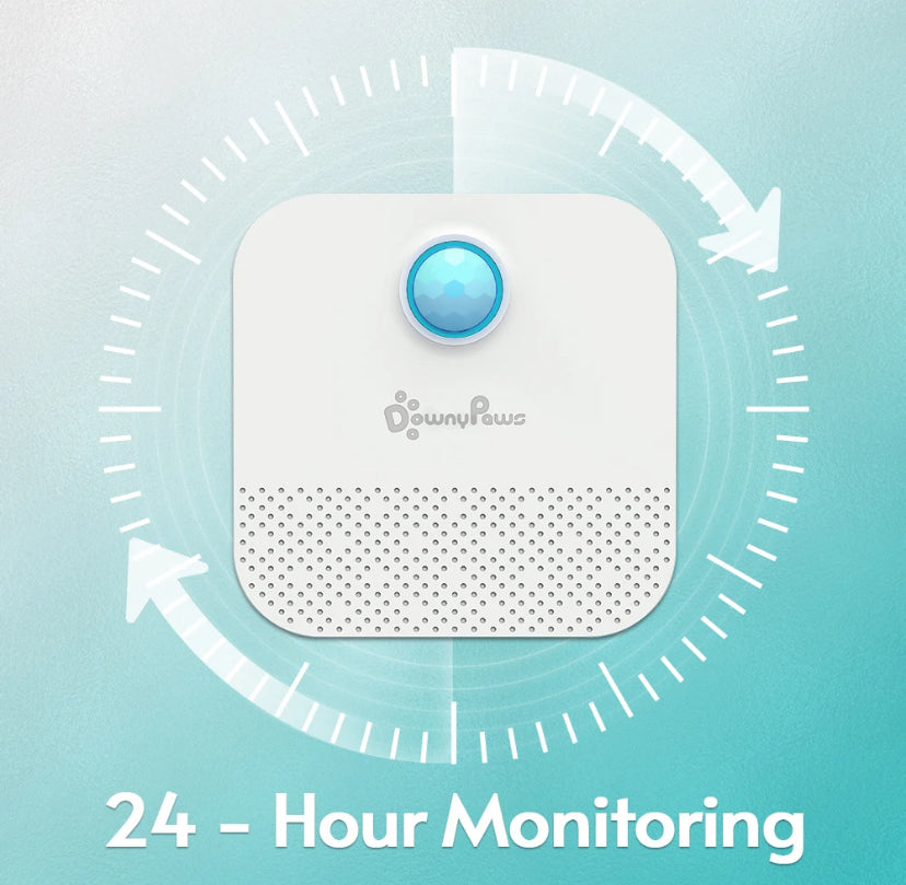 Rechargeable Air Cleaner Pets Deodorization and More
