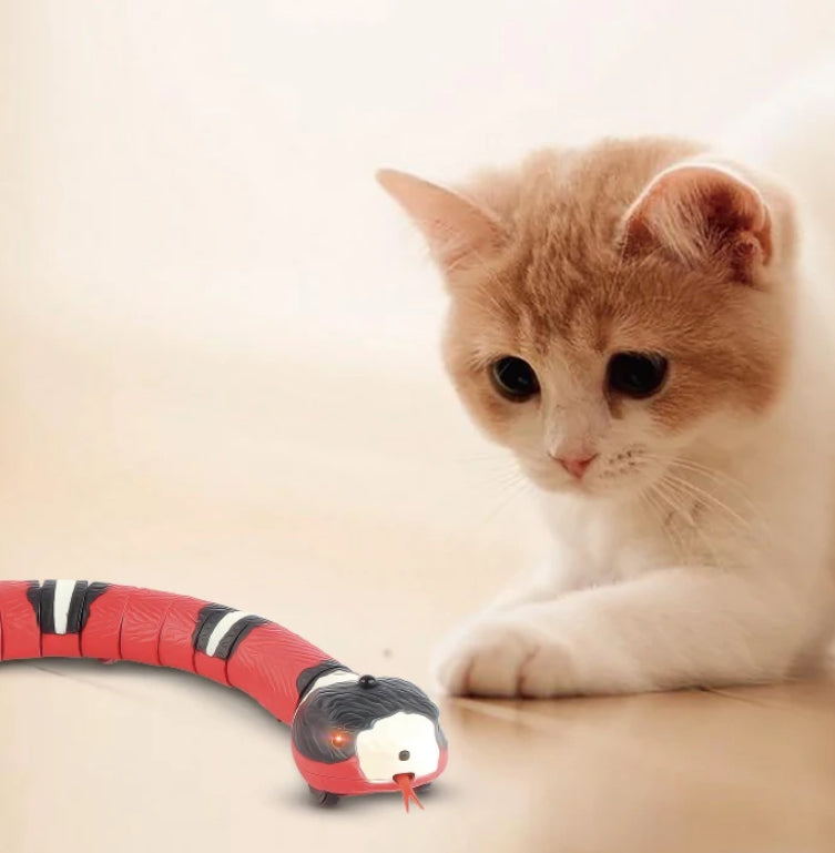 Snake Interactive Cat Toys Automatic