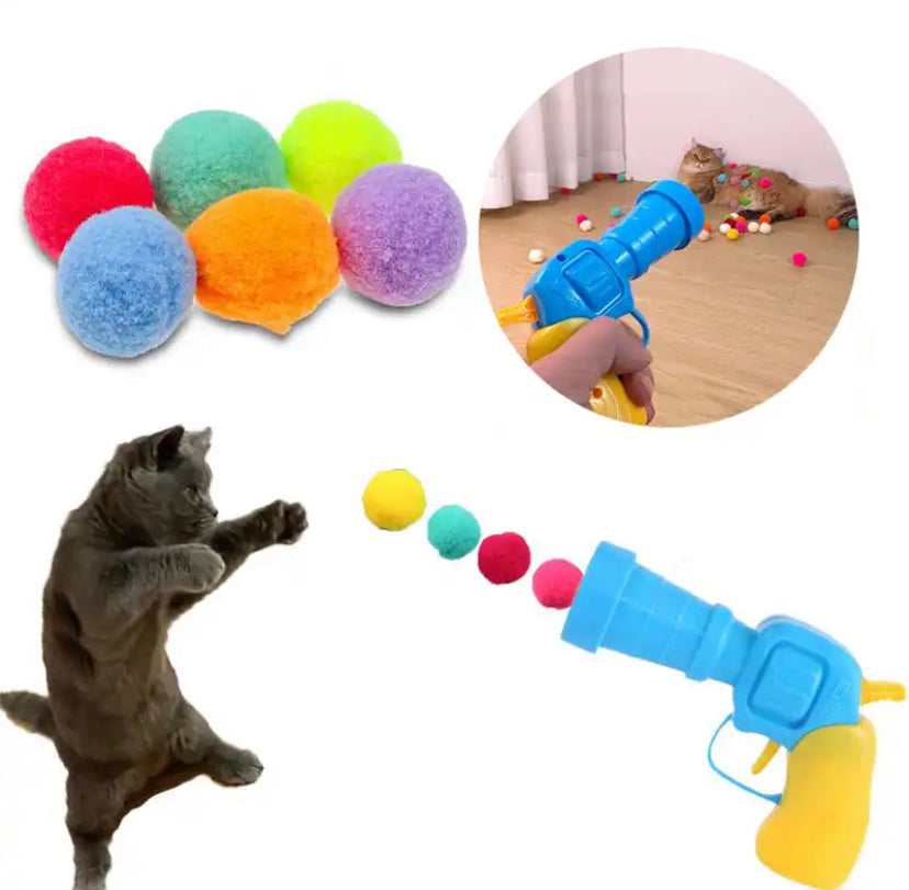 Interactive Launch Training Toys