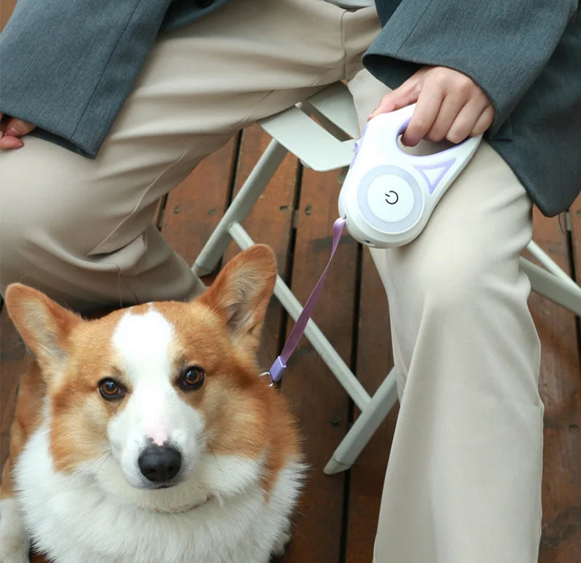 Automatic Extending Nylon Leash
