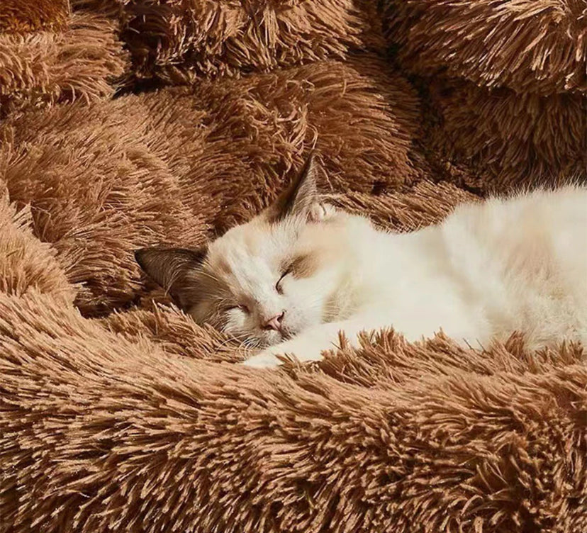 Soft Plush Round Dogs Cats Bed for Sweet Dreams