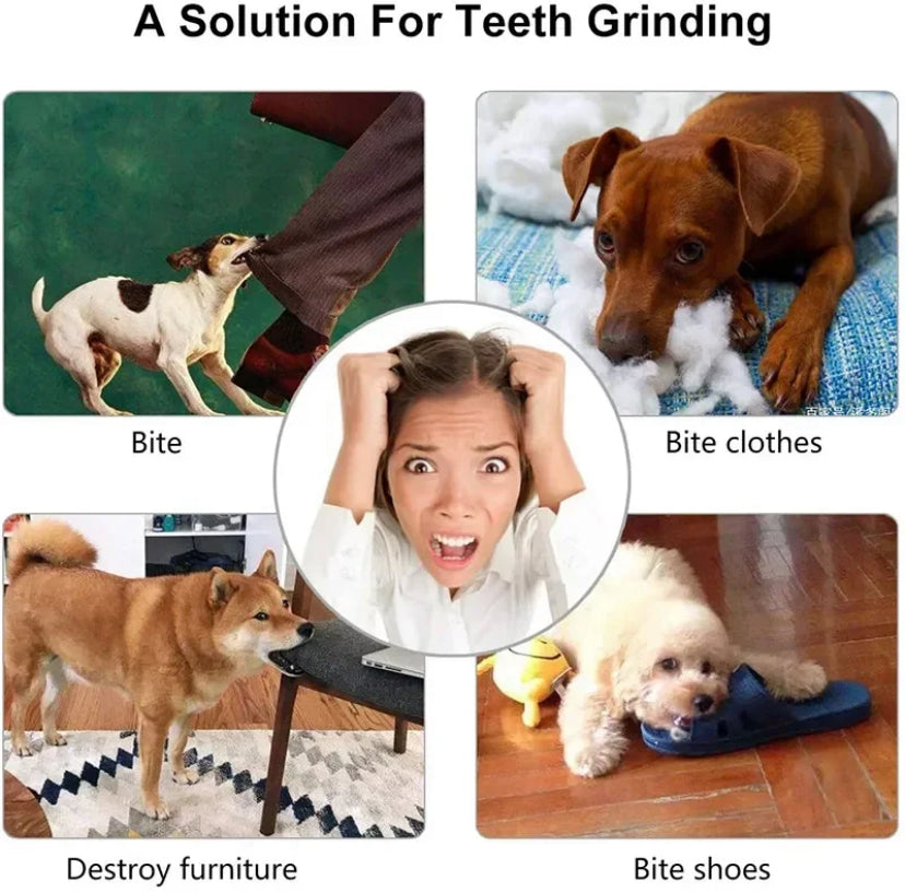 New Pet Ball Chew Treat Food Dispenser Toy Holder for Dog Cat Training Play Tool