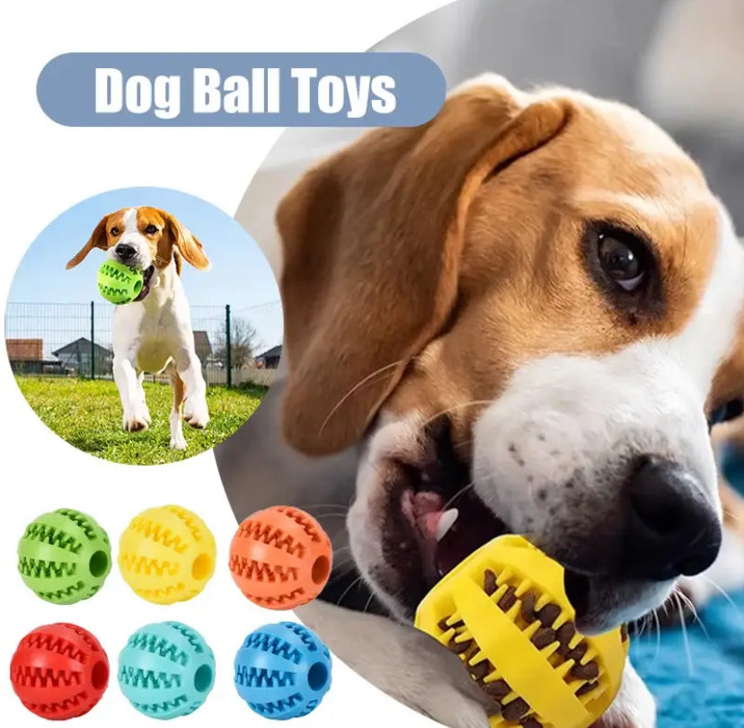 New Pet Ball Chew Treat Food Dispenser Toy Holder for Dog Cat Training Play Tool